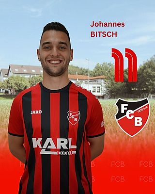Johannes Bitsch