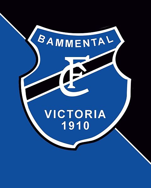 Foto: FC Bammental