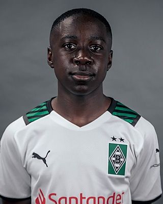 Franklin Anarfi Opoku-Mensah