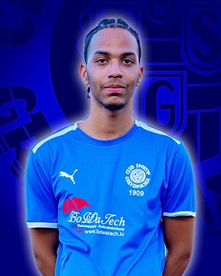 Tiago Alexandre David Goncalves