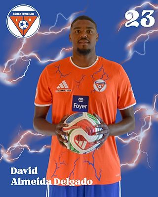 David Almeida Delgado