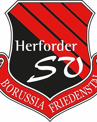 Daniel Hollensteiner