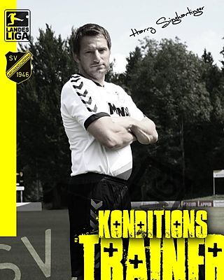 Helmut Singhartinger