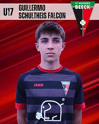 Guillermo Schultheis Falcon