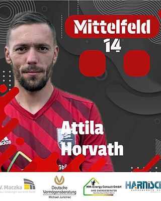 Attila-Sandor Horvath