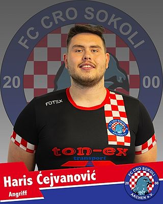 Haris Ćejvanović