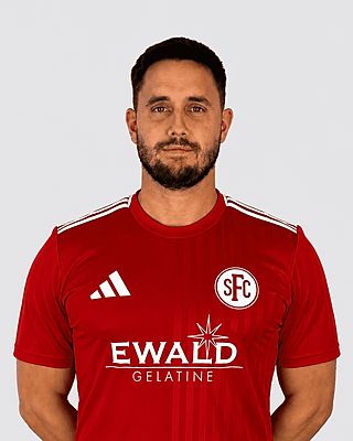 Dominik Giloy