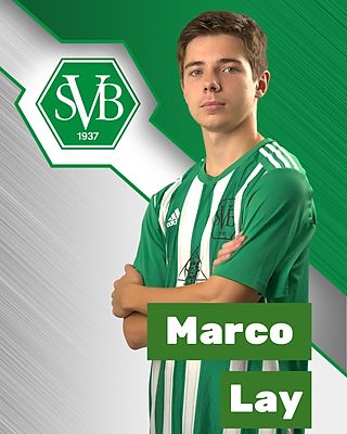 Marco Lay