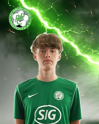 Moritz Maurice Marks