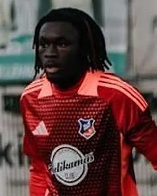 Leonardo David Twumasi