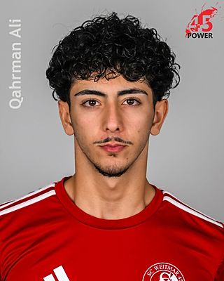 Qahraman Ali