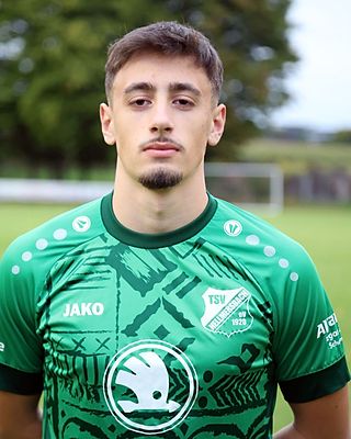 Deniz Ergen