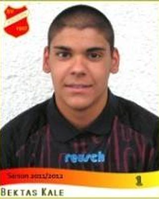 Bektas Kale