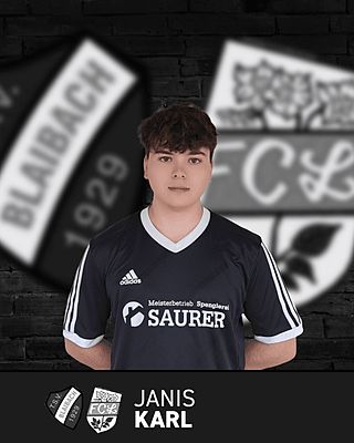 Janis Karl