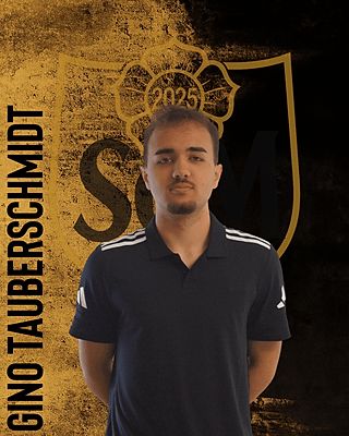 Gino Tauberschmidt