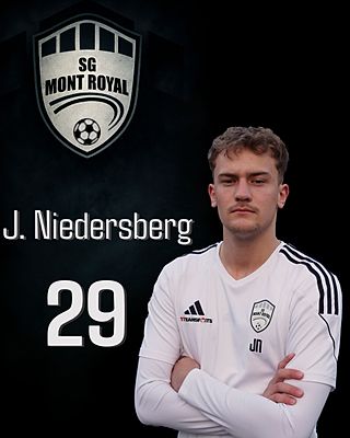 Julius Niedersberg