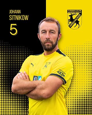 Johann Sitnikow
