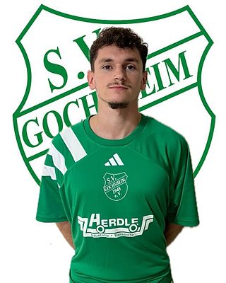 Antonio Cosic