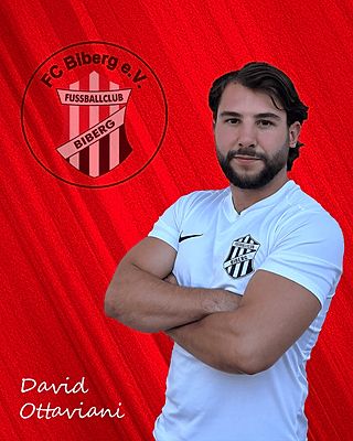 David Ottaviani