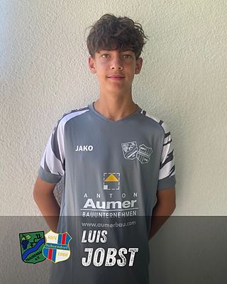 Luis Jobst