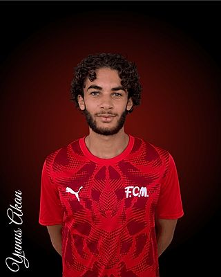 Yunus Akan
