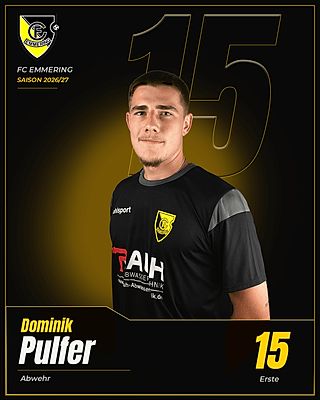 Dominik Pulfer