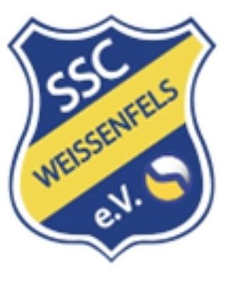 Mohammed Saleh Hashimi