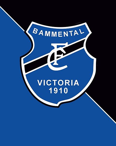 Foto: FC Bammental