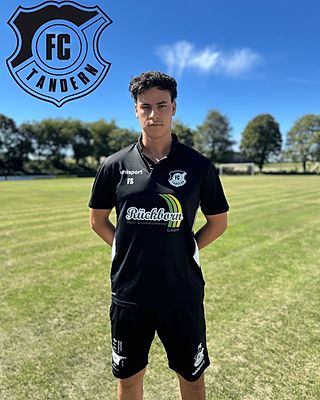 Fabian Scheiba