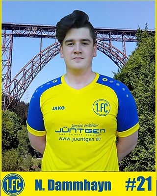 Nils Dammhayn