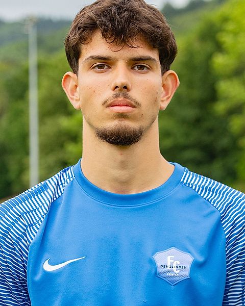 Dino Redzic
