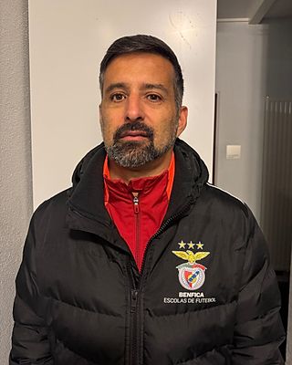 José Manuel Paulino Ferreira