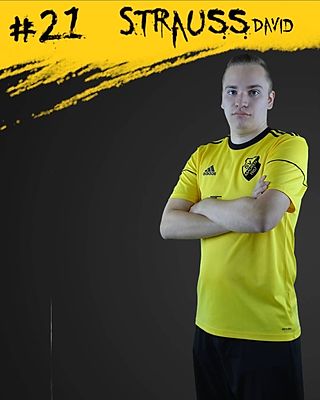 David Strauß