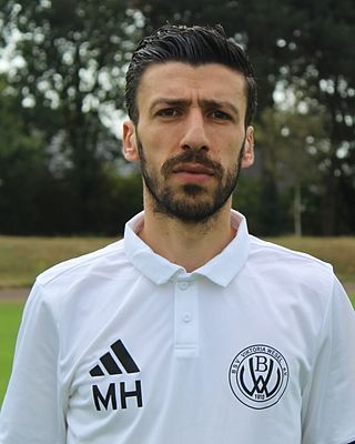 Mehmet Hamzaoglu