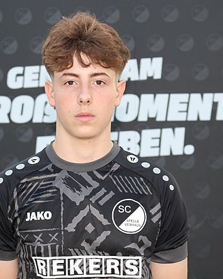 Alexander Gavrilescu