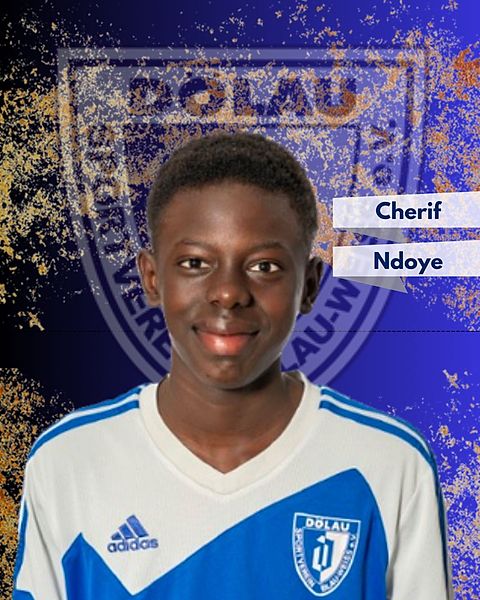 Cherif Ndoye