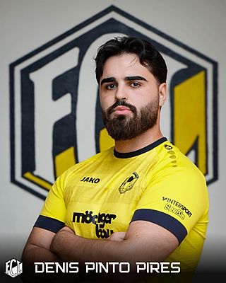Denis Rafael Pinto Pires