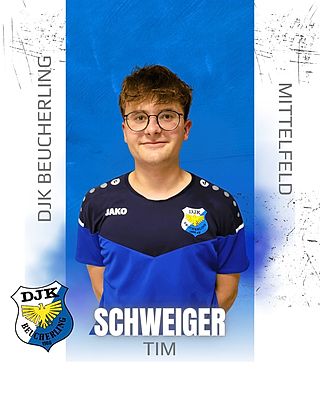 Tim Schweiger