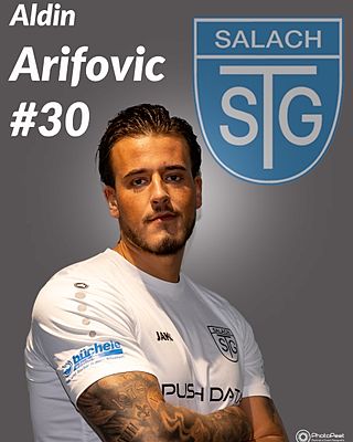 Aldin Arifovic
