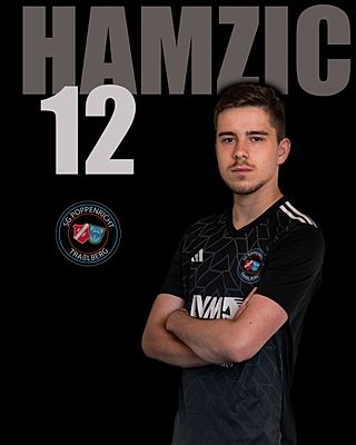 Emir Hamzic