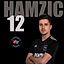 Emir Hamzic