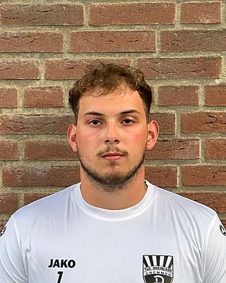 Luca Justino Dominic Ferreira