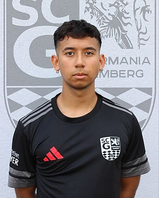 Felix Sanchez Ugalde