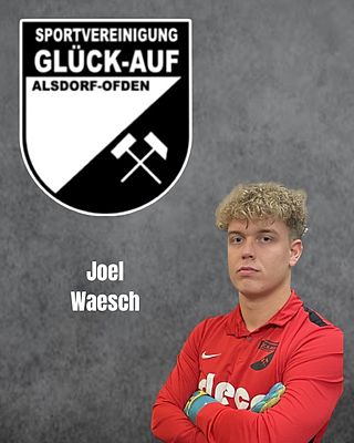 Joel Waesch