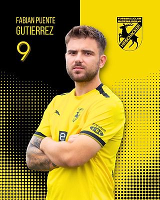 Fabian Puente Gutierrez