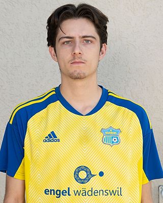 Gabriel Meier