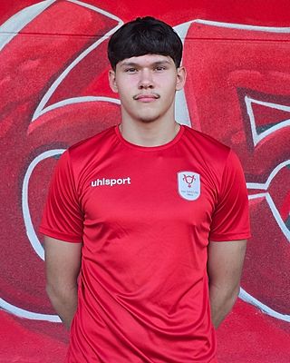 Rafael Michailidis