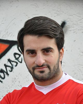 Dimitrios Kalaitzidis