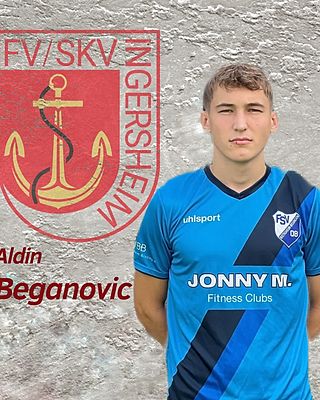 Aldin Beganovic