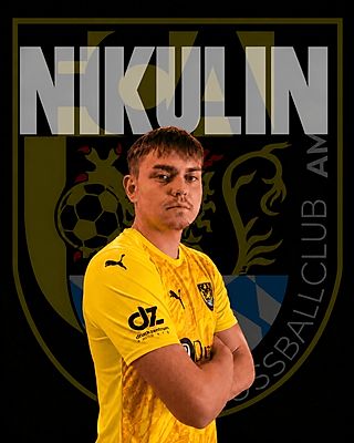 David Nikulin